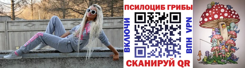блэк спрут сайт  Починок  Галлюциногенные грибы ЛСД 